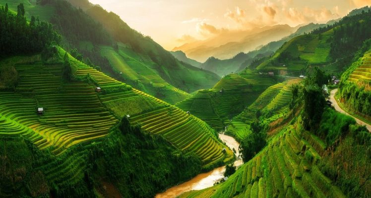 Cảnh đẹp Sapa
